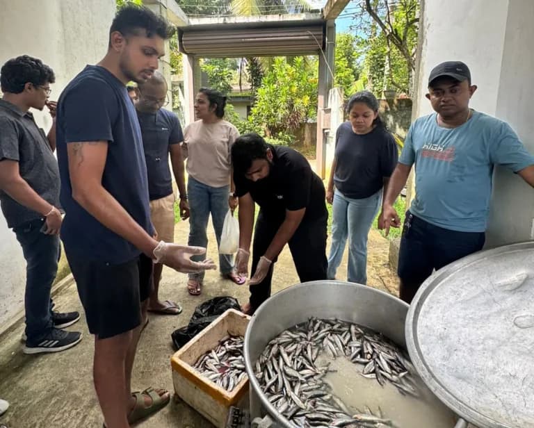 Stray animal feeding, Athurugiriya